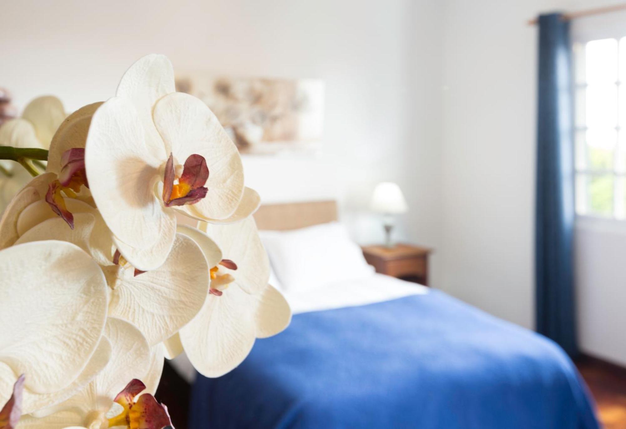Charming Apartments In Funchal - Sao Goncalo Pokój zdjęcie